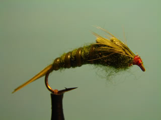 Olive Stone Fly (8)